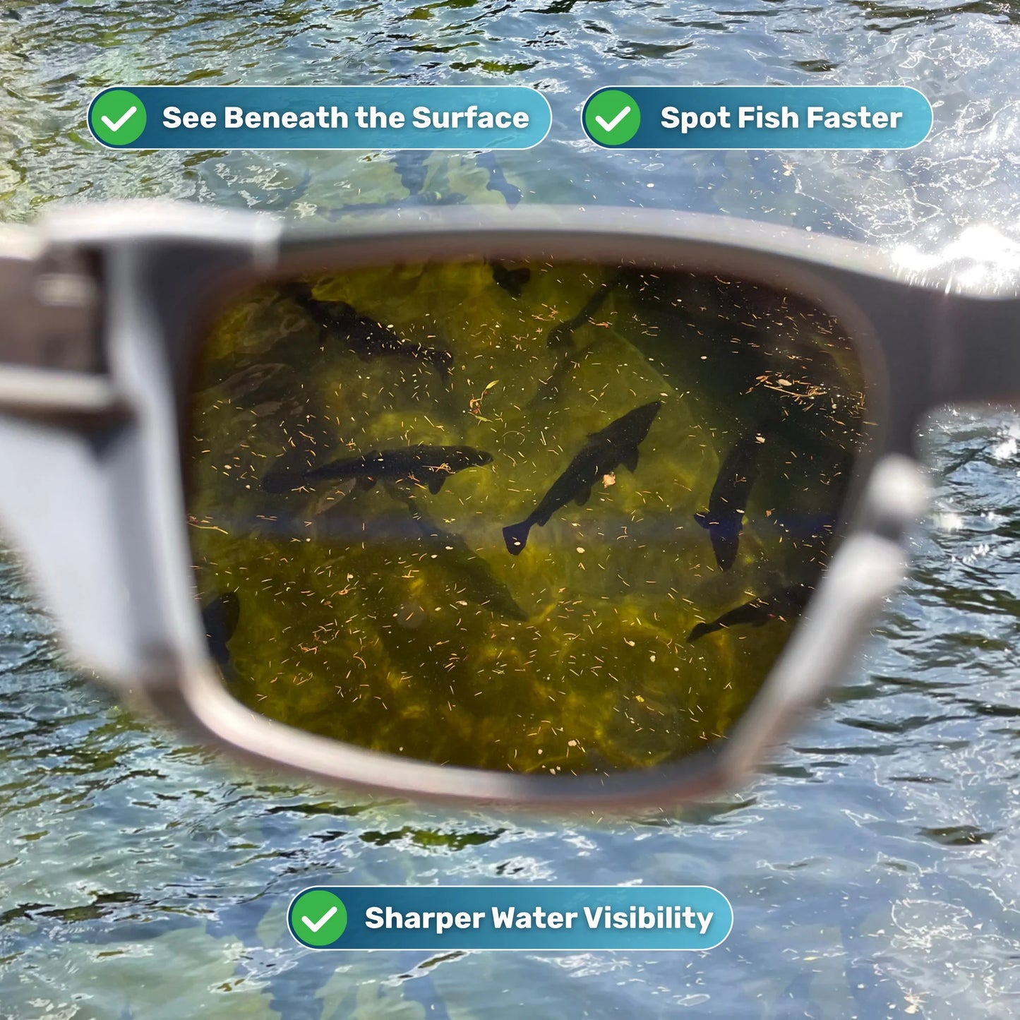 ClearCast Shades